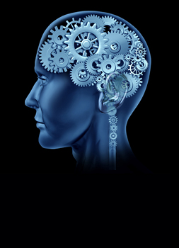 Bachelor of Science in Psychology from Texas A&M University-Victoria